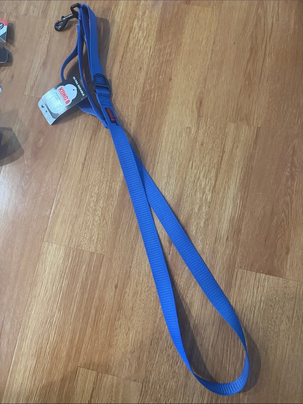 Kong branded dog